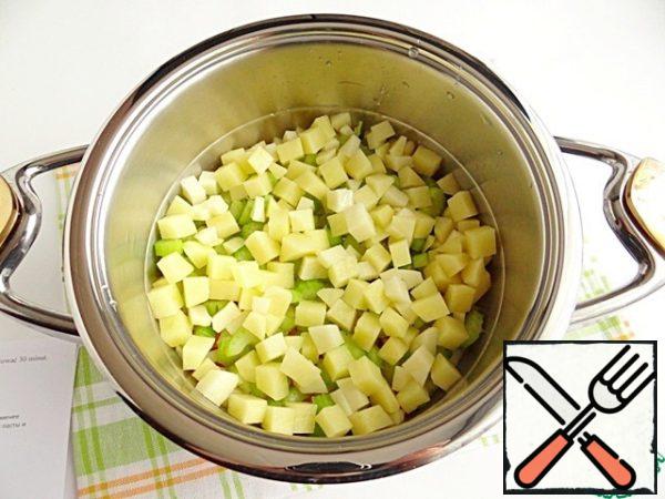The following layers of the celery and potatoes.