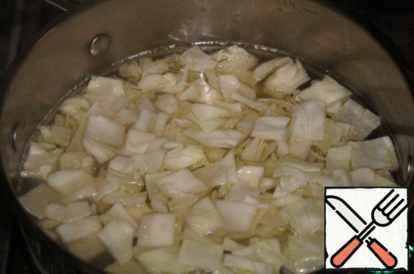 In the boiling broth to lower the cabbage, bring to boil, cook on low heat for 3 minutes.