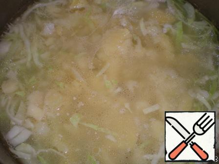 The chicken is cooked? Pull it out, as well as vegetables. Into the broth put the shredded cabbage and mashed (not pureed) potatoes. Cook.