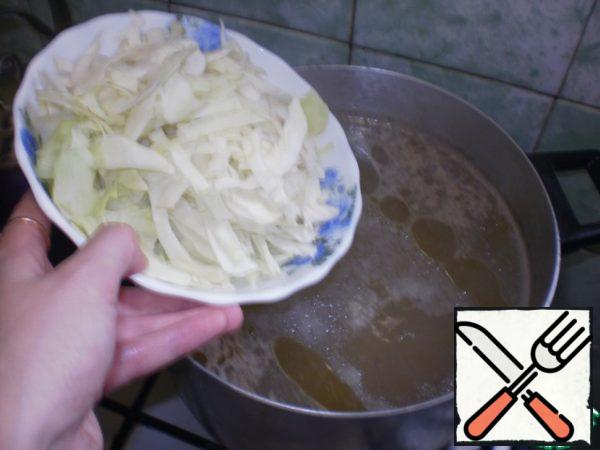 Add cabbage. Cook for 10 minutes.