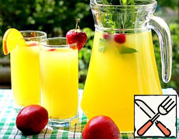 Citrus Drink-Designer Recipe