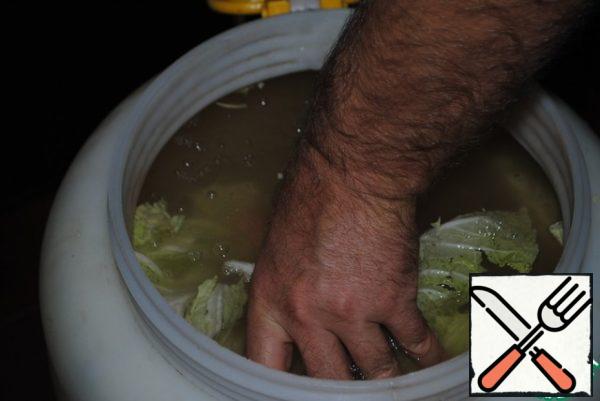 So fill the barrel with salt water until the cabbage is all covered with brine.
