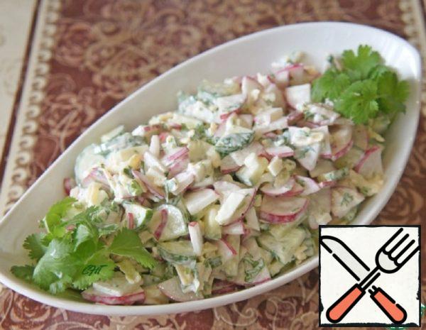 Radish, Cucumber and Cheese Salad Recipe