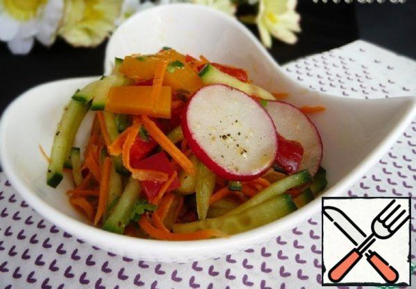 Carrot, Cucumber and Radish Salad Recipe