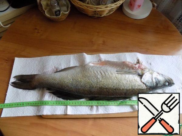 Walleye fresh 2 kg and a size of 65 cm. Cut walleye. From 3 pieces of pike-perch weighing ~ 700 g made fillet and I got 6 pieces of fillet for the main course.