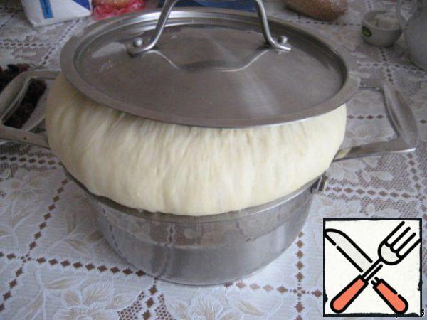 Dissolve the yeast in warm milk. Add salt, sugar, butter, eggs. Gradually introducing flour, knead a soft dough. Leave for 1 hour.
