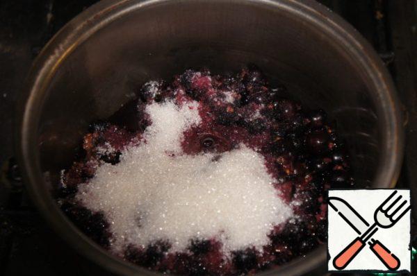 Wash black currant, let water drain, pour into a saucepan, add sugar.