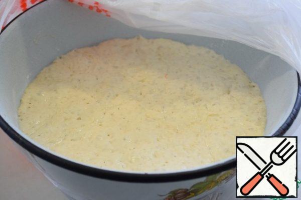 A day later, here's how the dough is prepared: it increased by 1.5 - 2 times and everything was "covered" with bubbles. The dough turns out sticky and viscous. No more flour needs to be added.
