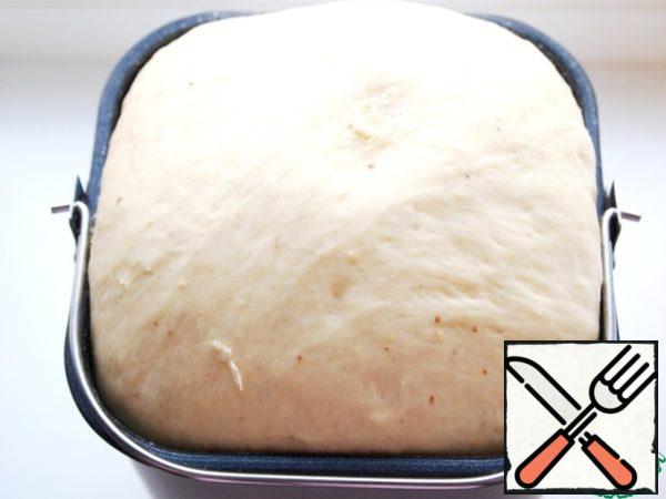 The dough should get a good increase.