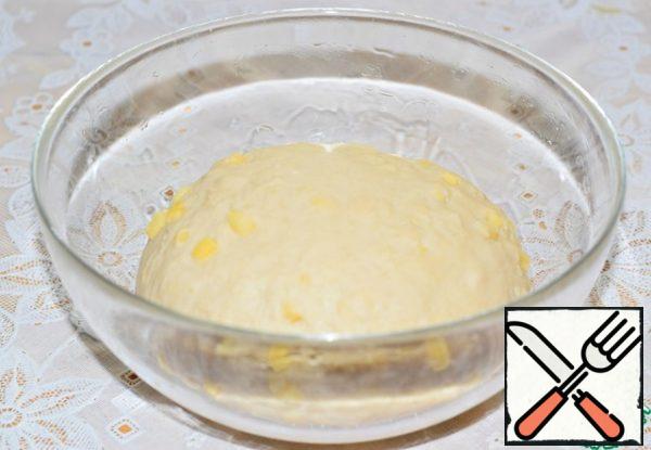 The dough is soft, not tight and not dense.
Put the dough in a bowl, greased with vegetable oil, tighten with cling film and put on 40-45 minutes in a warm place for the approach.