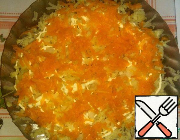 3 layer: grate half of carrots, make a mesh of mayonnaise.