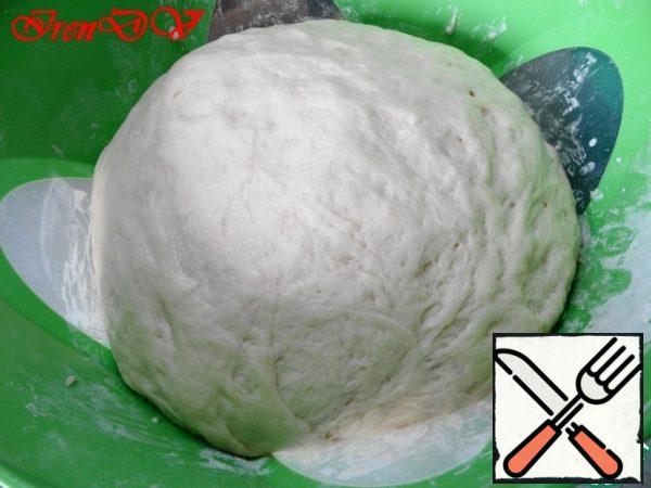 Turn it over, oil it on all sides, put it in a bowl.
Cover with a lid and put away in a warm place for at least an hour. The dough should increase in volume three times.
That's what it will be.
I was wandering so much that I even tore the lid off the bowl!
