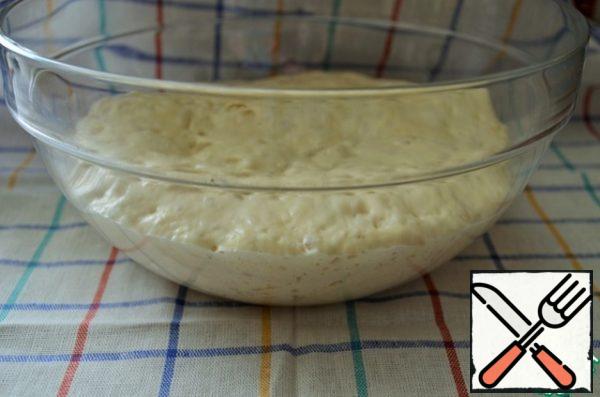 Look, the leaven is covered with small bubbles.
