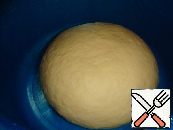 The dough will be smooth and very plastic.
Put in a greased container with vegetable oil, tighten the film and leave to come in a warm place for 1.5-2 hours.
Since it's cold, I put it in the oven under the light.