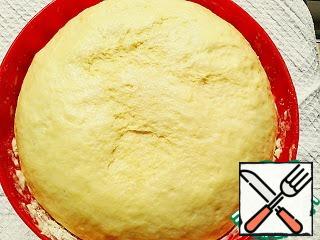 Knead the dough, cover with a towel and leave for 1 hour. The dough should increase in volume.