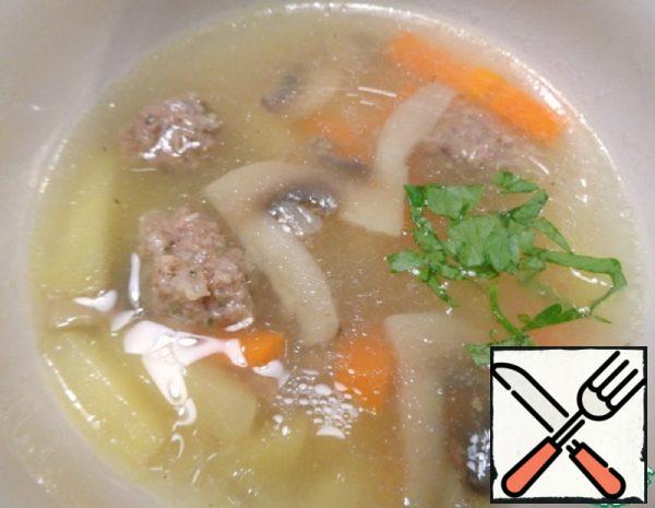 Home Soup "Harmonious" Recipe