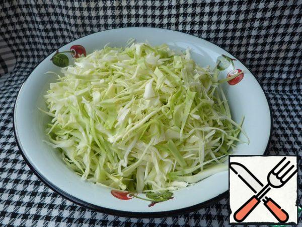 Chop the cabbage. Lightly sprinkle with salt and grate.