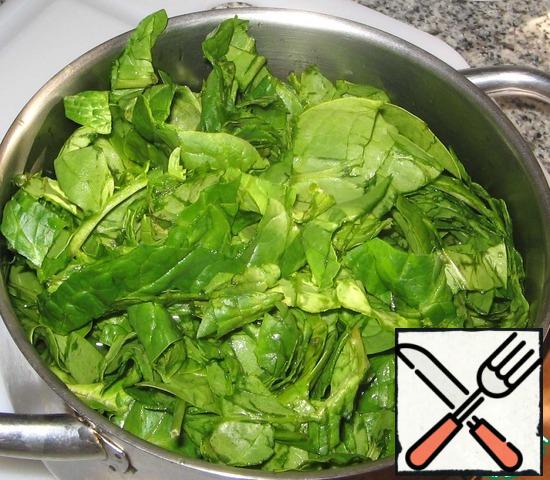 At this time, wash and cut spinach. Can be use and frozen.