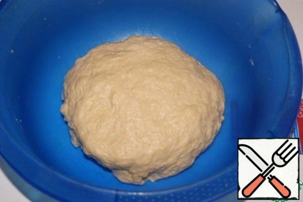 Roll the dough into a ball. Place in a bowl, cover the bowl with cling film and place in a preheated 40"C, but already off the oven (or microwave) for about an hour and a half.