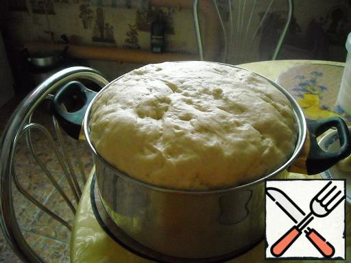 The dough is kneaded, put it in a warm place for 1 hour.
After 30 minutes, it rose very well, and we'll push it. This is done in order to get out of it excess air.