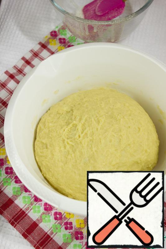 Then the dough is thoroughly kneaded for at least 15 minutes, with a mixer nozzles for dough or in a bread maker.Cover the dough with a film and leave to rise for at least two hours.