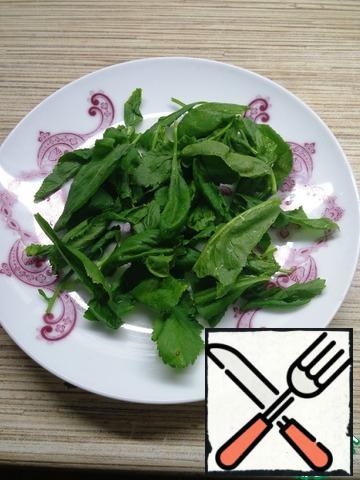 Salad, wash, dry, remove the stems and a little tear hands on a plate.