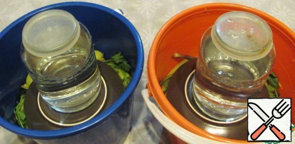 Cover with a plate and put the oppression. I have one and a half liter cans. We send buckets to the loggia.
