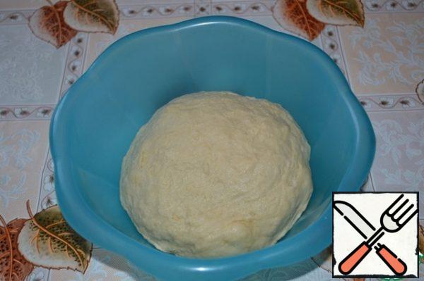 To connect with prepared mixture, add the flour and salt. Knead dough.
I measured the flour with a 200-gram glass. Pour vegetable oil and beat it well into the dough. It should be soft, elastic and not stick to your hands. Cover with a towel dishes with dough and put in a warm place for 1.5 hours to rise.