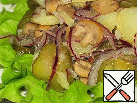 Stir. Salad served on lettuce leaves.