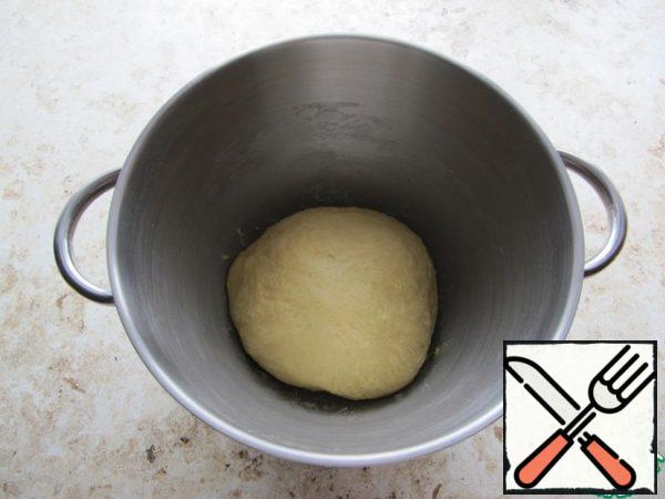 Moisten your hands with vegetable oil, roll the dough into a ball, put it in a bowl greased with vegetable oil, cover with cling film.
