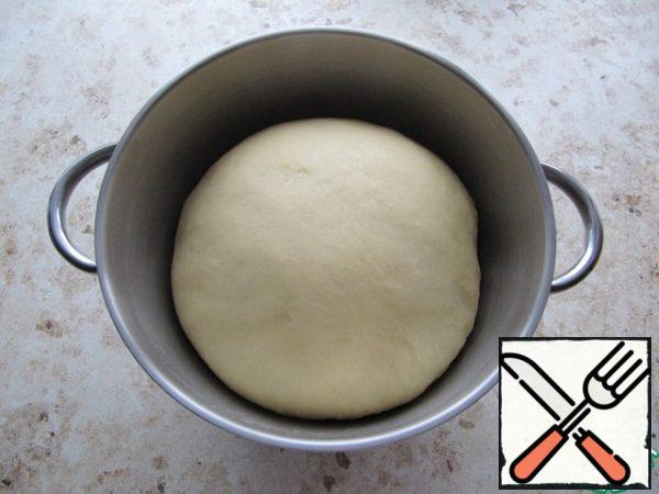 The first proofing of the dough is about 1.5 hours (depending on the room temperature, the quality and freshness of yeast, flour).
