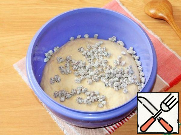 Pour the raisins into the dough.
