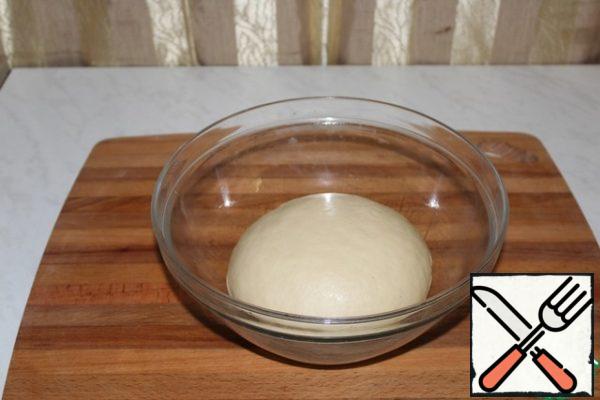 Put the dough in a bowl and let it come up for 1 hour.

