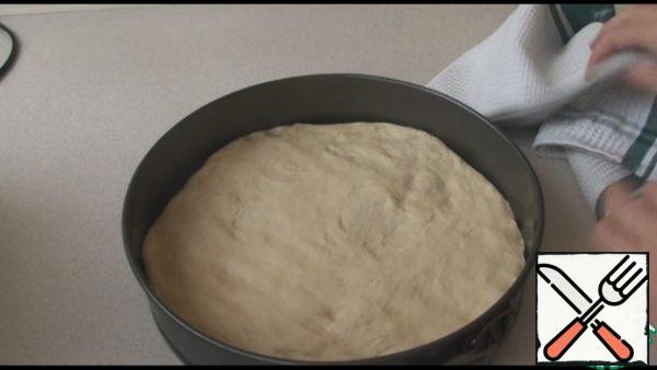 My dough is baked for 40 minutes, it should double. Let's give him a big hug. I baked in a round shape with a diameter of 28 cm, you can take any shape, but it should not be very small. lubricate the mold with oil and lay out the dough, spreading the mold. Cover with a towel and let it come up for 20 minutes.
