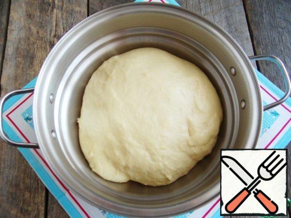 When the dough will increase in volume by 2-3 times, press it.