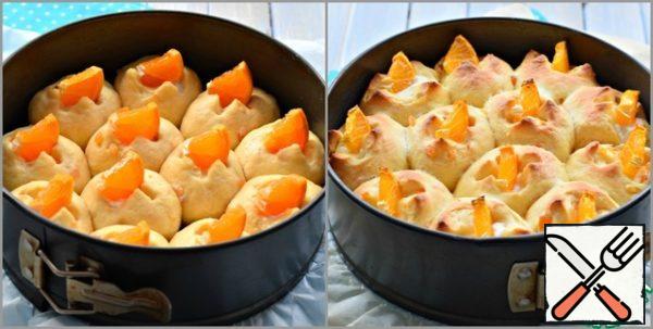 Lubricate the rolls that have come up with milk. (one tablespoon)
Insert a slice of tangerine into the cut of each muffin.
Bake the buns in a preheated 180° oven for 20-22 minutes. Until it's browned. Always take into account the features of your equipment.