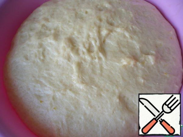 It took 40 minutes to climb. Lubricate the table with vegetable oil and make a wrapper out of the dough. Then lubricate the bowl with the dough with vegetable oil again, cover with cling film and put it back in a warm place.
