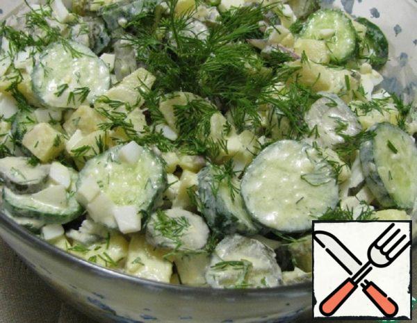 Berlin Potato Salad Recipe