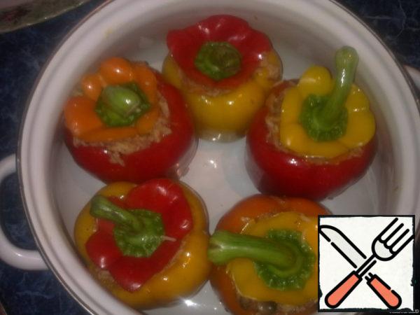 Put the peppers in a pot so that they stood on top of each pepper cover with a pepper cap.