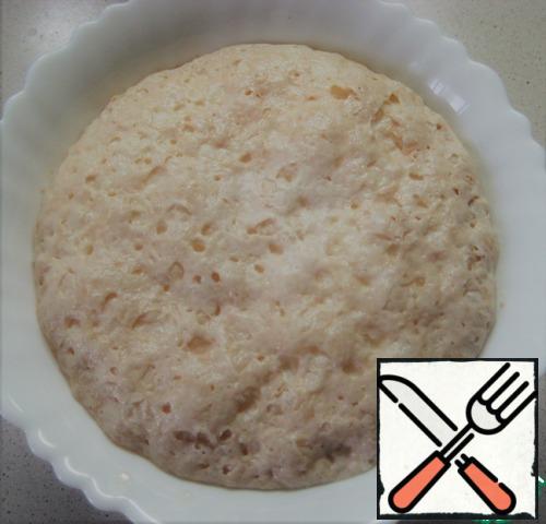 Brew increased in volume, begin to knead the dough.