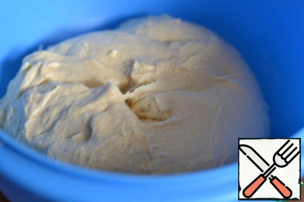 Put the dough in a bowl, tighten with cling film and leave to come up in a warm place for an hour.
