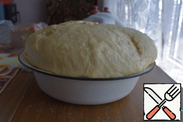The dough has increased by 2 times, knead it and put it on hold again.
