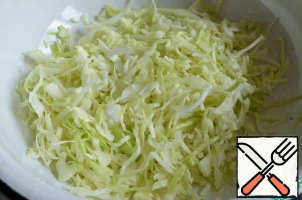 Finely chop the young cabbage and add a little salt.