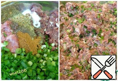 Prepare the filling: take two types of minced meat, add salt, pepper, spice, seasoning, crushed garlic, chopped green onions. Mix all the ingredients of the filling.