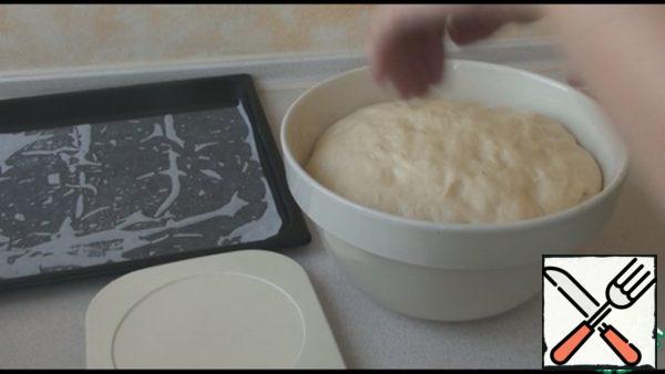 Knead the dough, spread oil bowl, send the dough there, too, spread it, cover with a towel and leave in a warm place without drafts, so it fits well. It took me half an hour.
