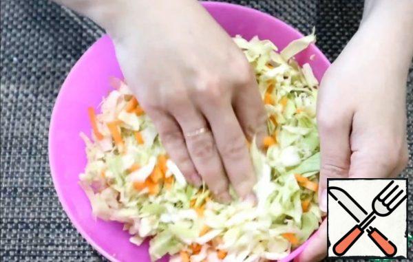 Chop the carrots, chop the cabbage. All mix in bowl with salt and pepper.