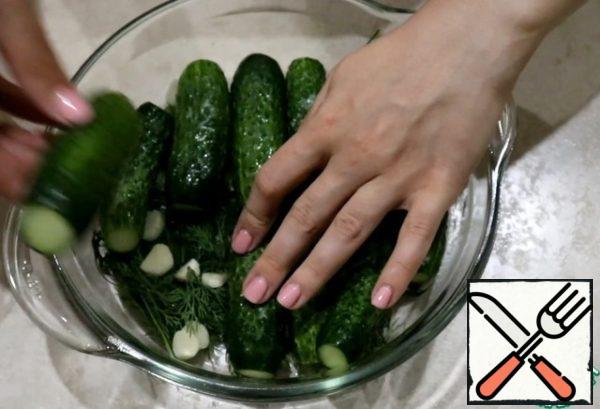 At the bottom of the pan or tray put the washed dill, sprinkle garlic and arrange cucumbers.
