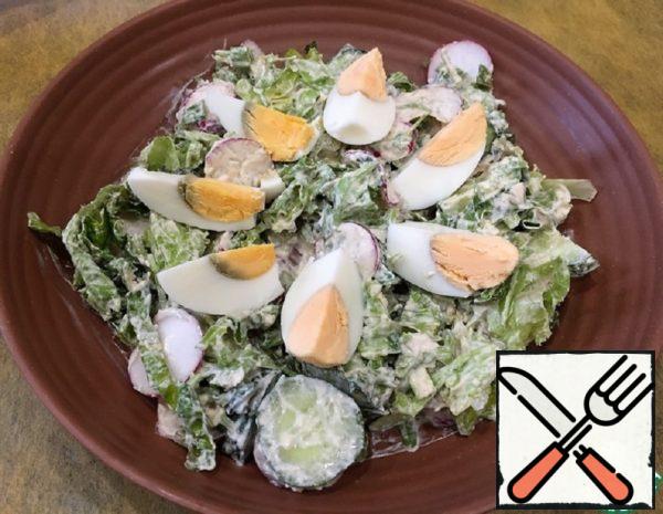 Summer Fresh Salad Recipe