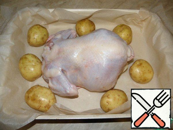 Then well dry the chicken with a towel (paper, etc.) lay a baking sheet with parchment, put the bird and impose medium-sized potatoes (I still throw onions sometimes a whole 1-2 PCs)