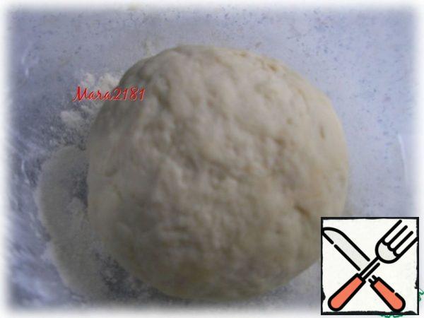 Cover the resulting dough with a towel and put it in a warm place for 1 hour.
